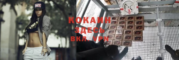 прущие крисы Лабытнанги