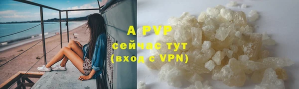 ГАЛЛЮЦИНОГЕННЫЕ ГРИБЫ Ладушкин