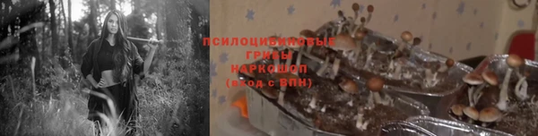 ГАЛЛЮЦИНОГЕННЫЕ ГРИБЫ Ладушкин
