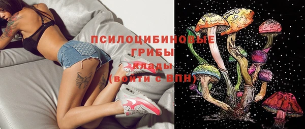 прущие крисы Лабытнанги