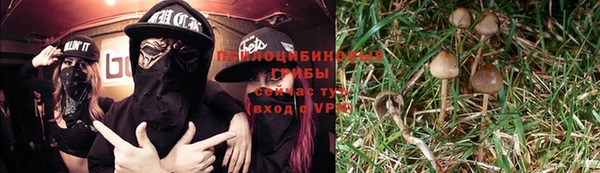 прущие крисы Лабытнанги
