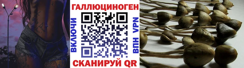 Псилоцибиновые грибы Cubensis  Мосальск 