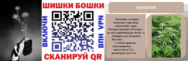 МАРИХУАНА планчик Мосальск